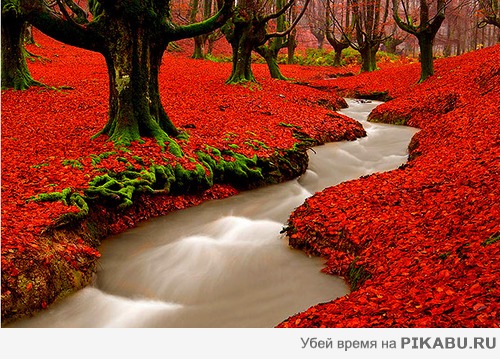 ���� ����...