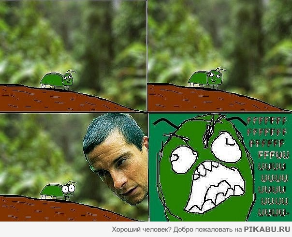 Беар Гриллс и жучок