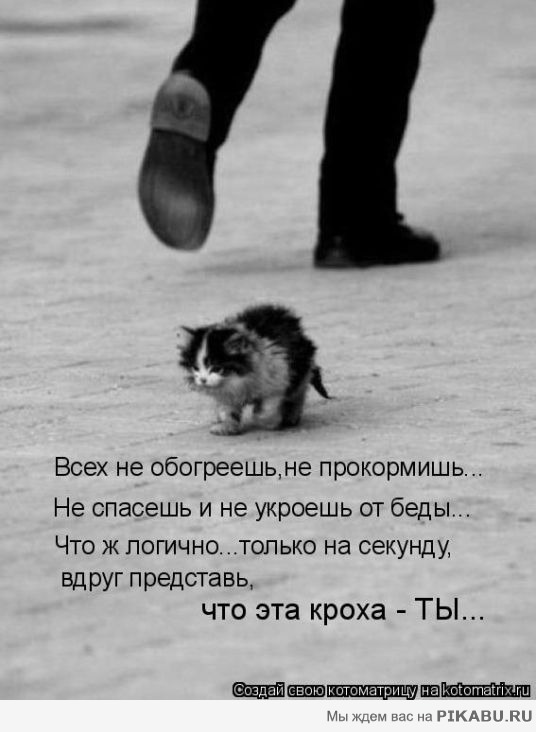 Нечего добавить | Пикабу