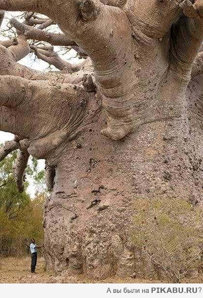 � ���� ���������� ����� ���������...