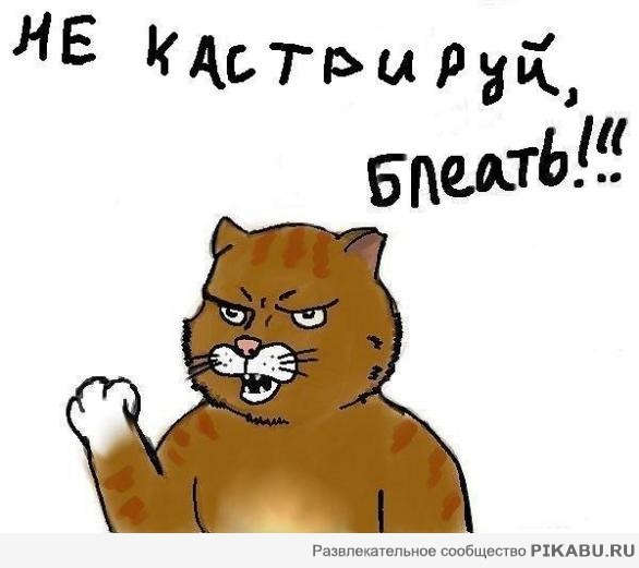 ���� �������!!! 