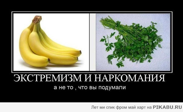 ��� �� �� ��� �� ��������!!!