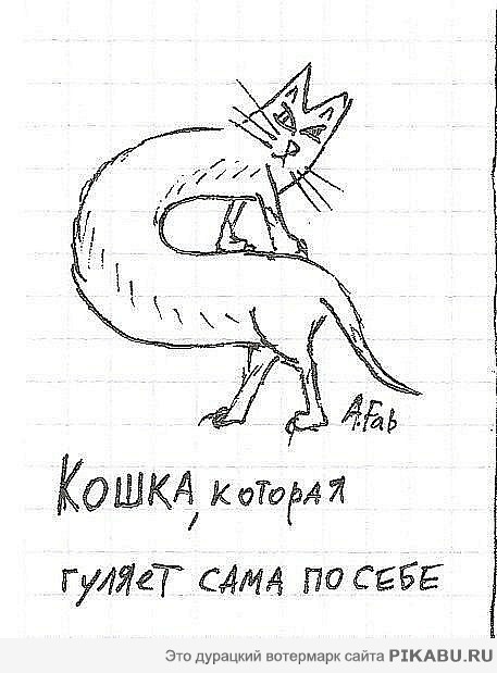 Кошка, которая гуляет сама по себе