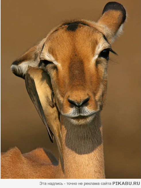 �������.