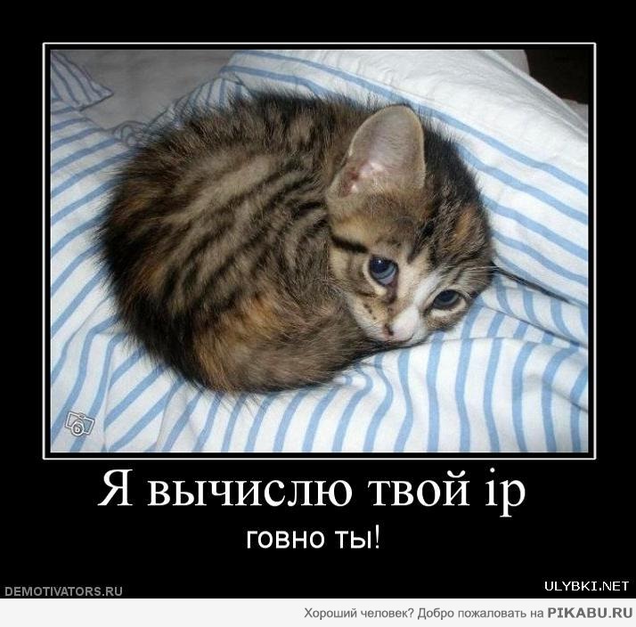 ������ ��������...