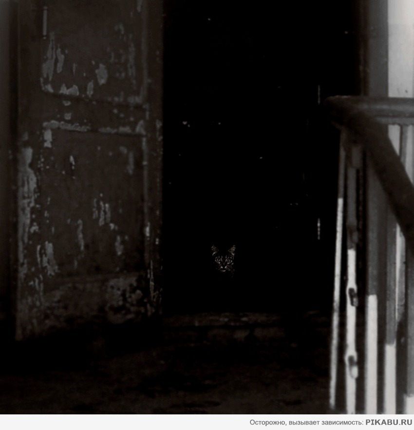 � �������...