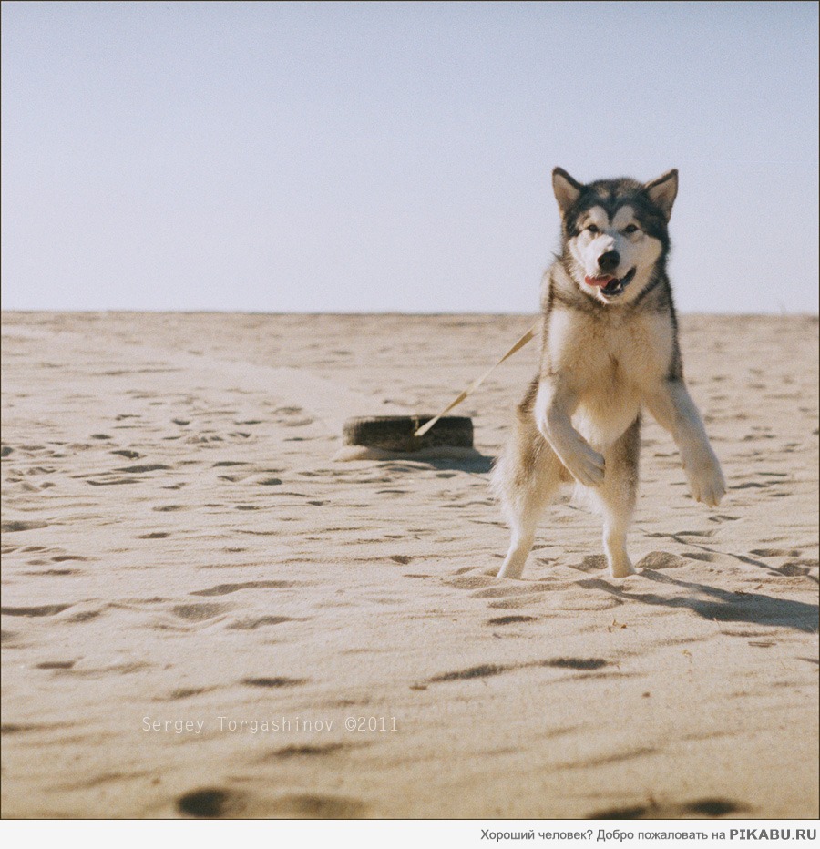 ������, ������ ��� ��� "�������", � ��� �� ������ ���?!