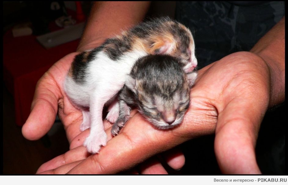 ����� ������ ���� :)