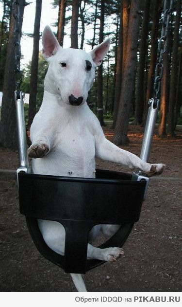 ���! ���� ��� ��� )