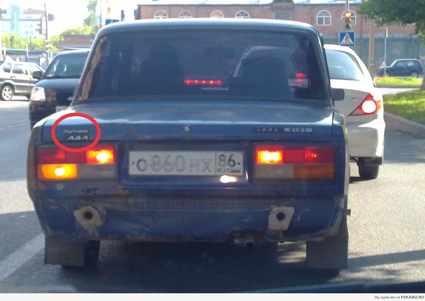 ������ ���