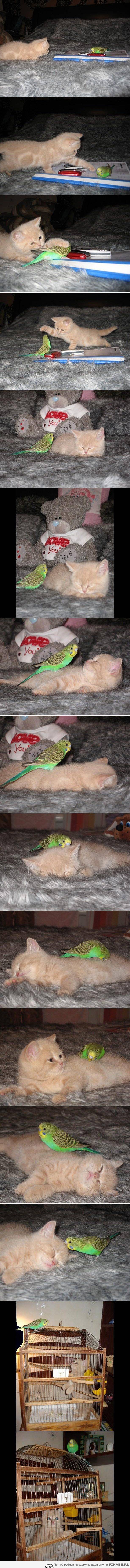  ))) 