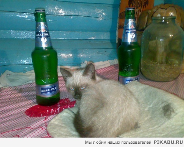Не тронь пиво >