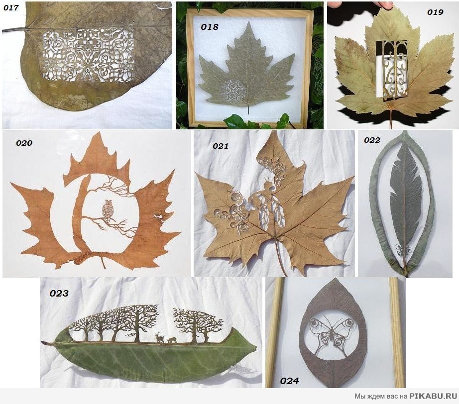 ������ �� �������