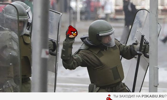 Получайте, свиньи!