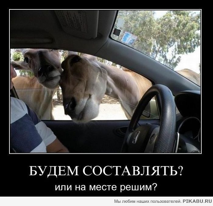 ������� �������� �������?