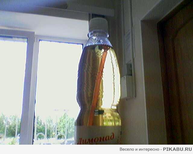 Лимонад с сюрпризом