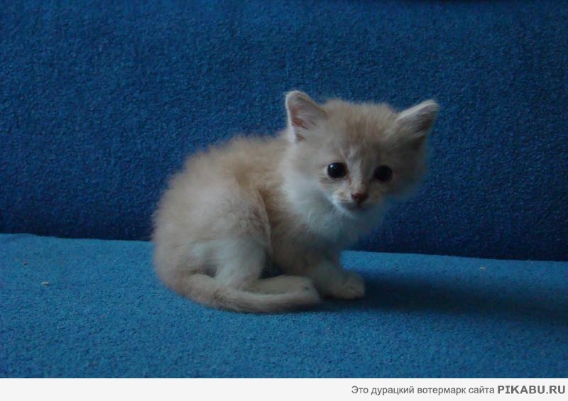 ������.��� ������� �� ������� ����� � ���� ����� �� ��������� ����������
