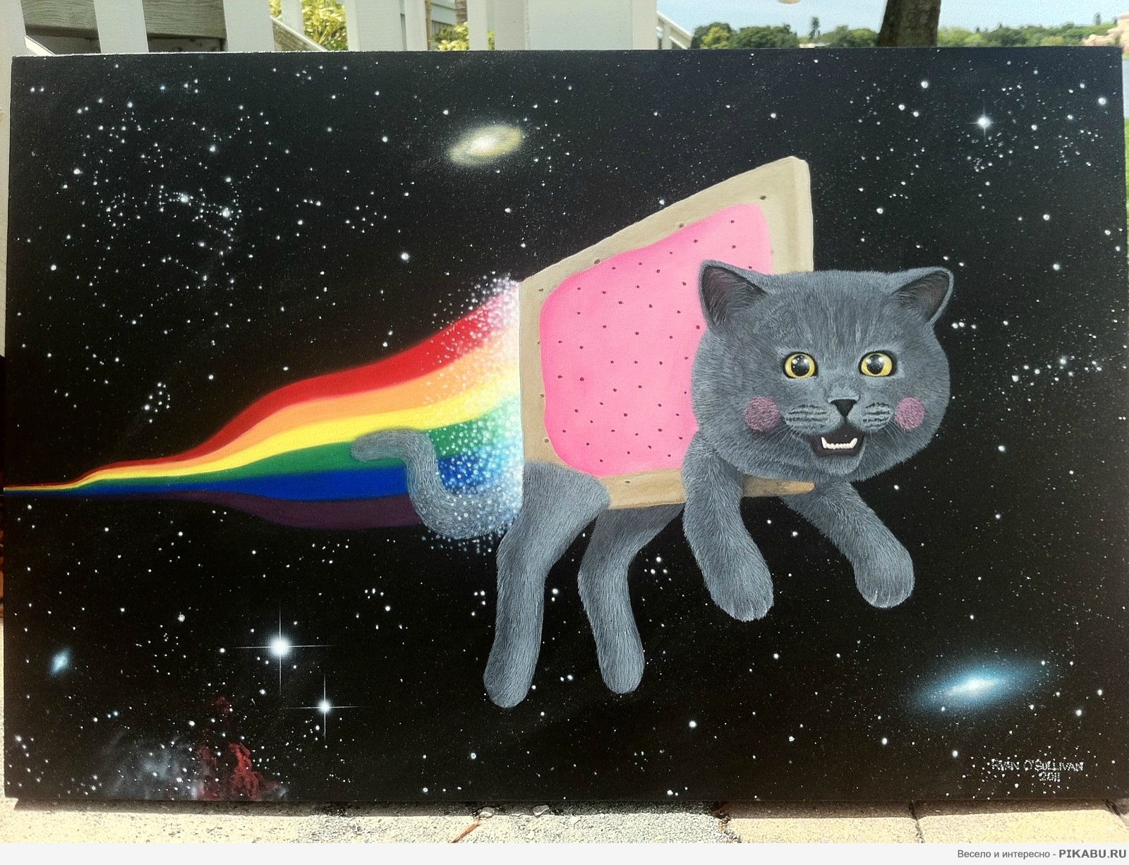 Nyan Cat  .   ) 