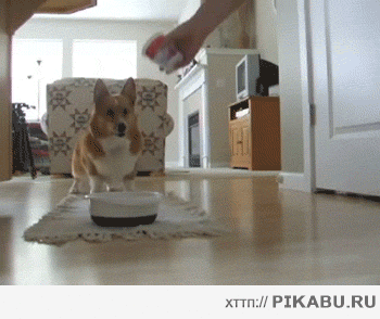 ����� ����� �����!!!