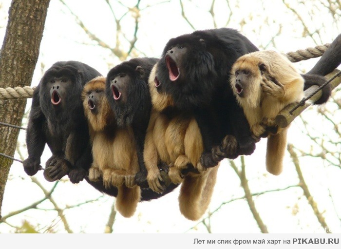 ��������� ������� ���������� ���� ;)