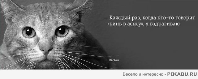 "Кинь в аську"