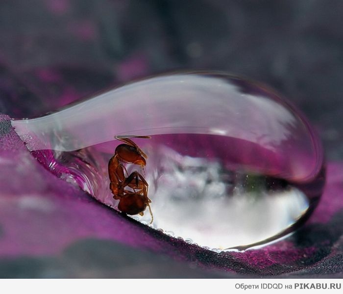 ������� ������ :)