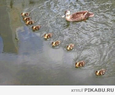 даже не знаю как назвать