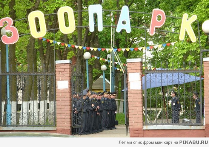 Кто то сомневался?