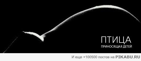 �����, ���������� �����)