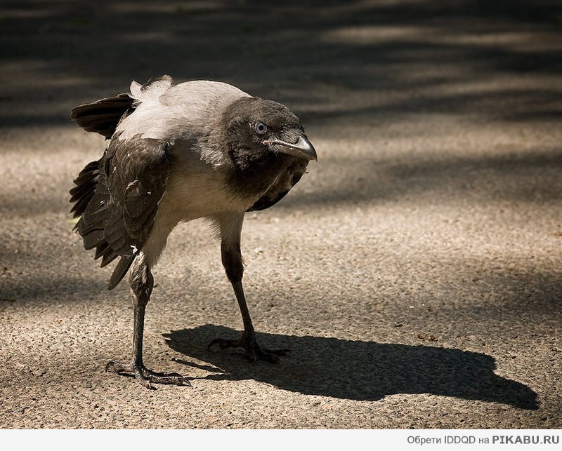 ����� ����?