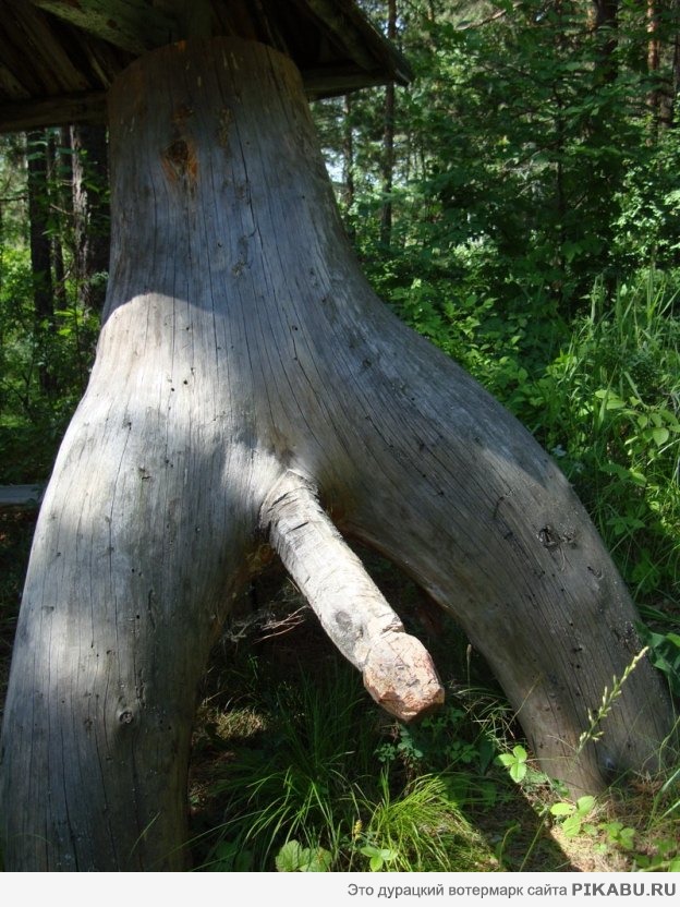   (18+)     ,  .