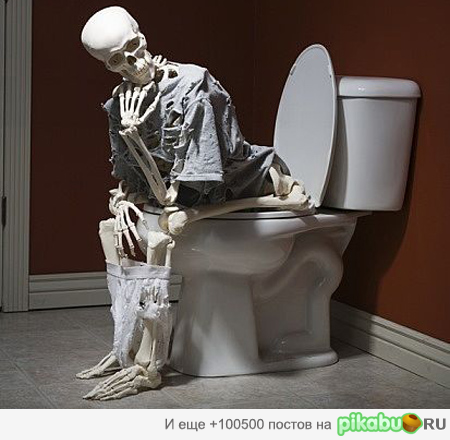 ������ 80 ���.