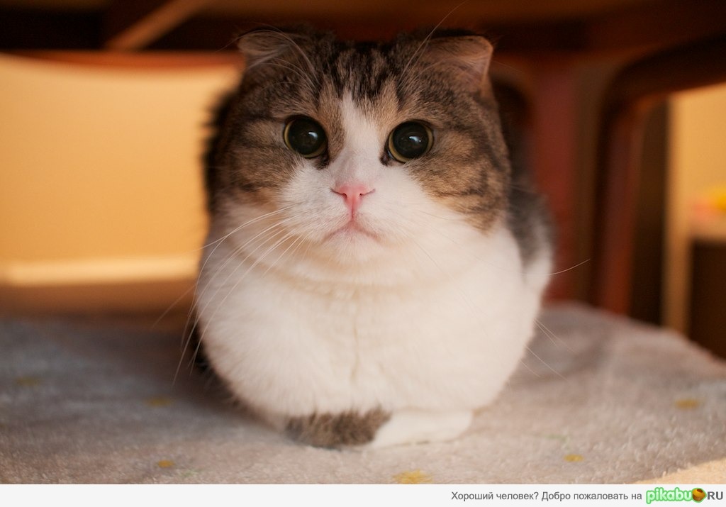 А главное места много не занимает)