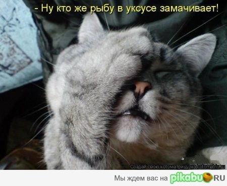    !?! 
