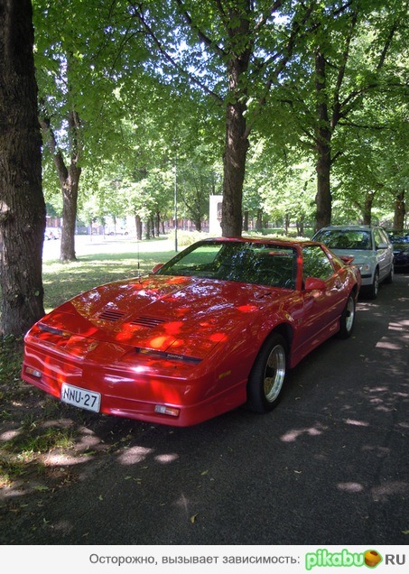 �������� �������� �������, ����������!