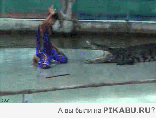  , ,      .. FAIL