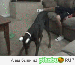 � ����� �������� ������