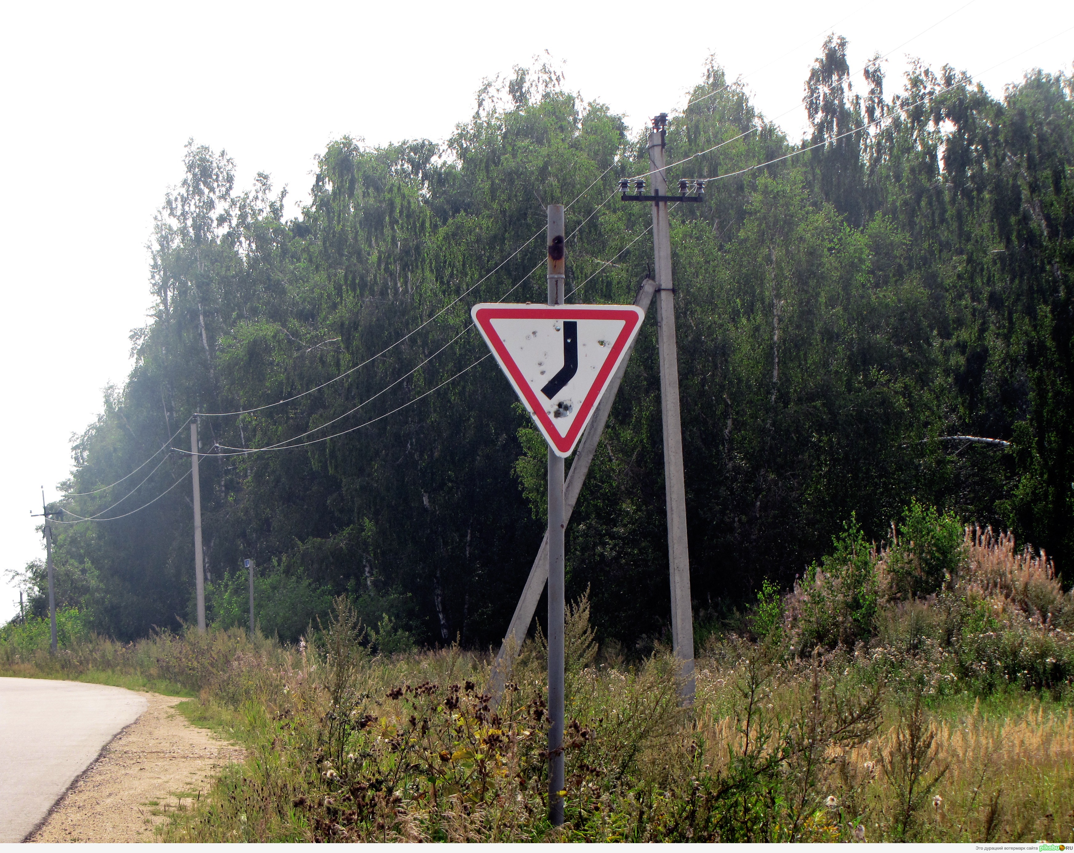 ��� ����� �������� ����.