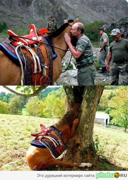 Как же стыдно