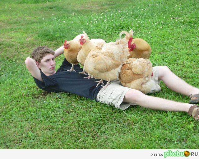 Все лето я провел с жаркими цыпочками.