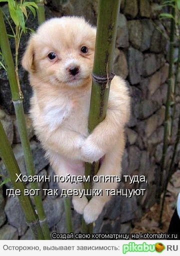������, ������ ����� ���� ...