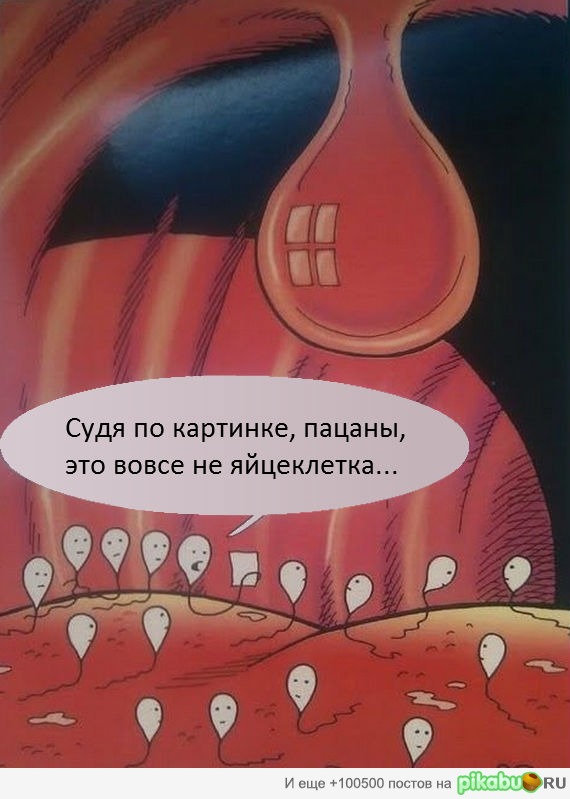 Это вовсе не яйцеклетка