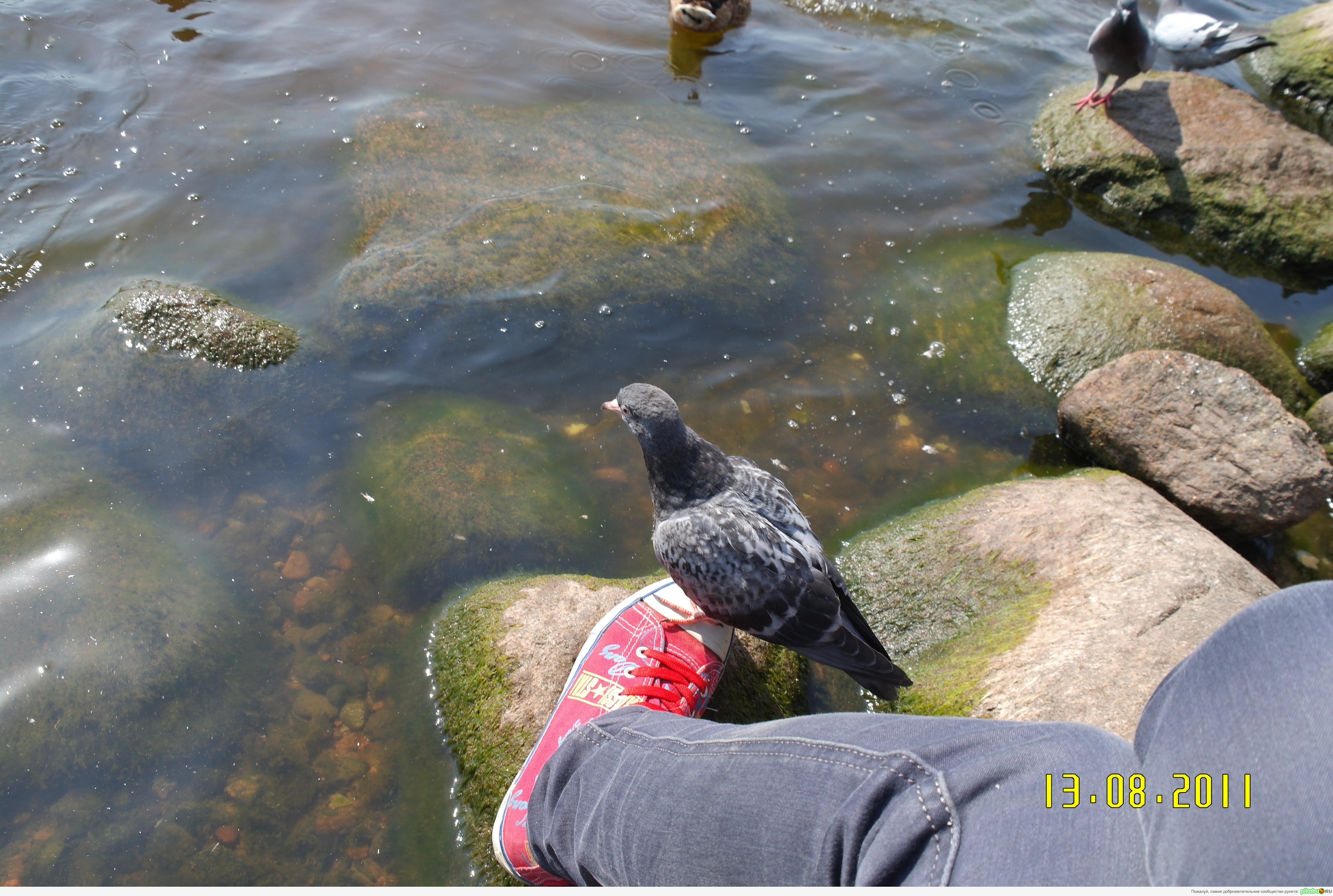 Все ноги оттоптали..