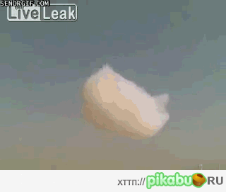 Спасайтесь! Небо падает!