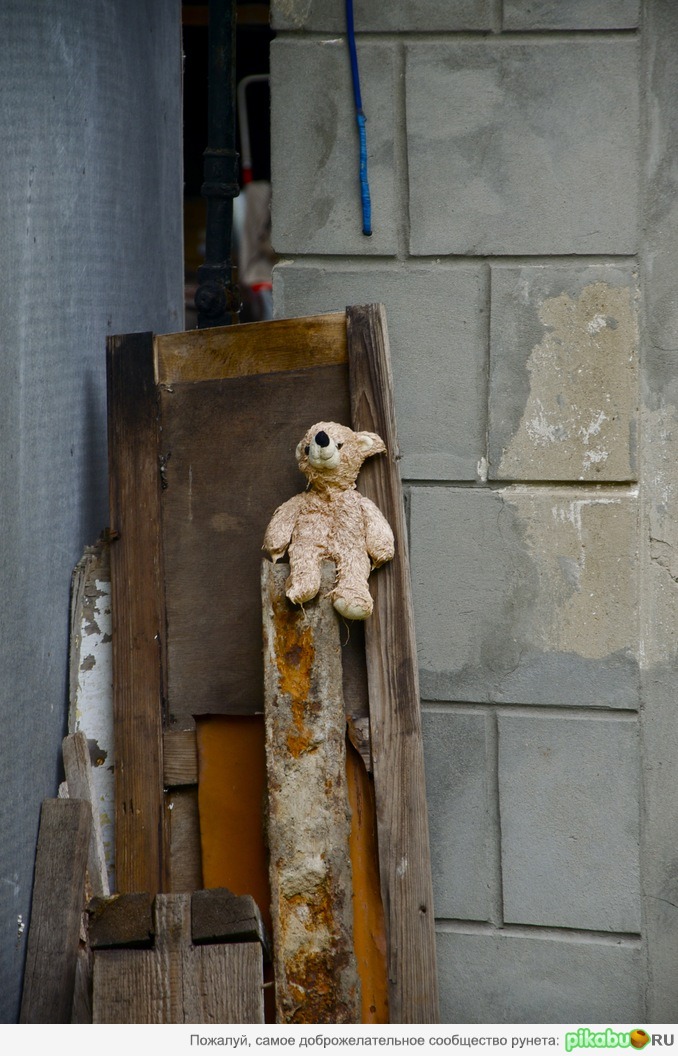 �������� �����