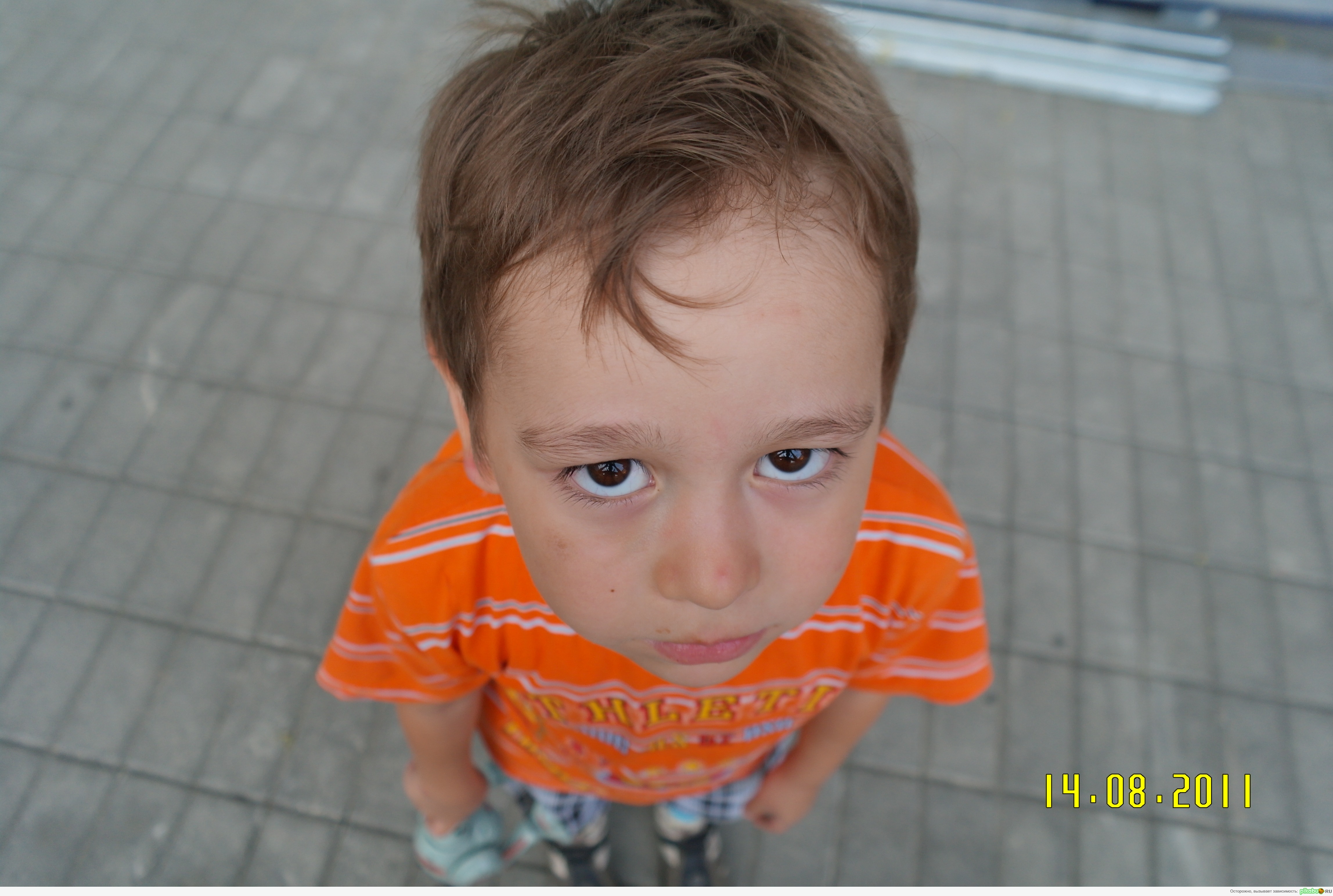 Кот в сапогах нервно курит в сторонке..