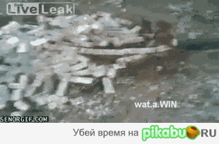 Скоро зима .... нужно бы на даче слить воду из шлангов ...