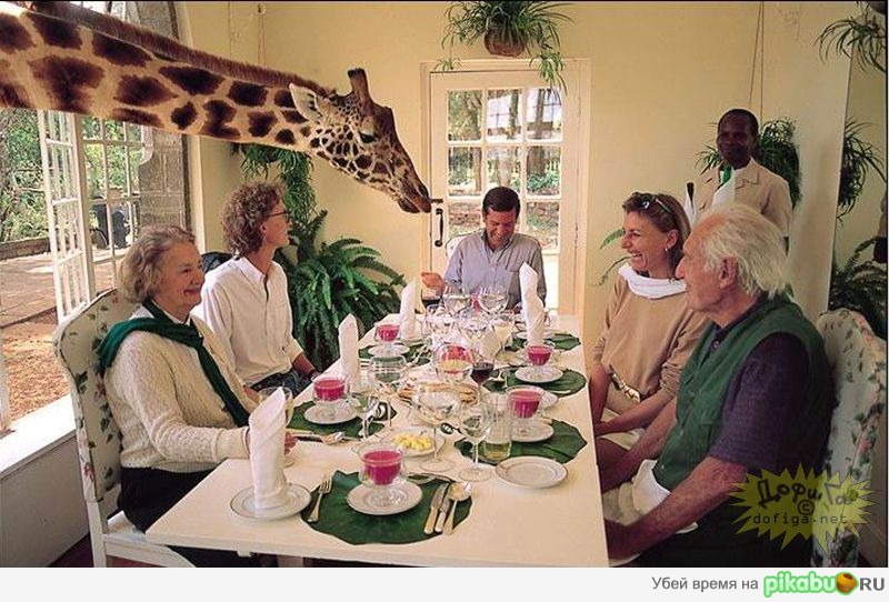 Чем закусываем?