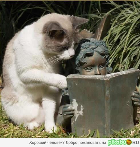 Скоро 1 Сентября