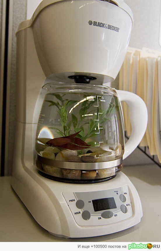 Если сломалась кофеварка.))) | Пикабу